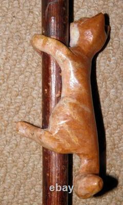 Antique Walking Stick / Cane Hand-Carved Ginger Cat On Shaft Yellow Metal Collar