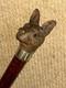 Antique Walking Stick Cane Hand-Carved Intricate Alsatian Top & Silver Collar