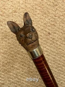 Antique Walking Stick Cane Hand-Carved Intricate Alsatian Top & Silver Collar