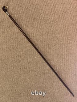 Antique Walking Stick / Cane Hand-Carved & Painted Duck Head & Silver Collar