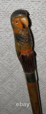 Antique Walking Stick Cane Hand Carved & Painted Parrot Glass Eyes Silver Collar