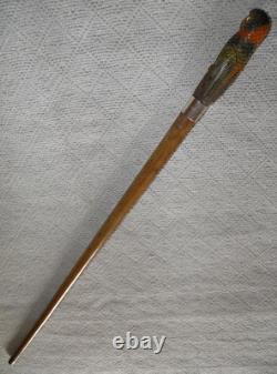 Antique Walking Stick Cane Hand Carved & Painted Parrot Glass Eyes Silver Collar