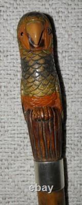 Antique Walking Stick Cane Hand Carved & Painted Parrot Glass Eyes Silver Collar