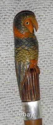 Antique Walking Stick Cane Hand Carved & Painted Parrot Glass Eyes Silver Collar