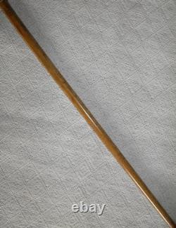 Antique Walking Stick Cane Hand Carved & Painted Parrot Glass Eyes Silver Collar