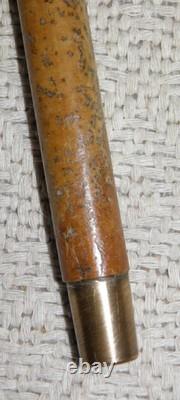 Antique Walking Stick Cane Hand Carved & Painted Parrot Glass Eyes Silver Collar