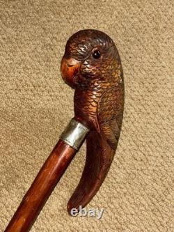 Antique Walking Stick Cane Hand-Carved Parrot & Hallmarked 1913 Silver Collar