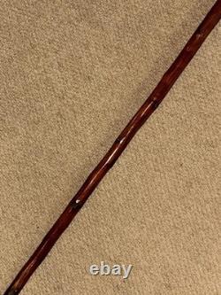 Antique Walking Stick Cane Hand-Carved Parrot & Hallmarked 1913 Silver Collar