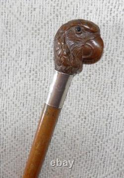 Antique Walking Stick Cane Hand Carved Parrot Head Top Glass Eyes Silver Collar