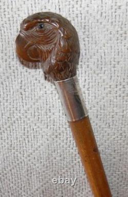 Antique Walking Stick Cane Hand Carved Parrot Head Top Glass Eyes Silver Collar