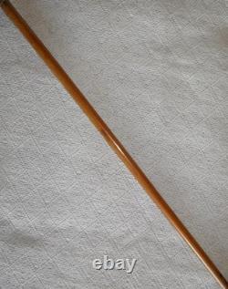 Antique Walking Stick Cane Hand Carved Parrot Head Top Glass Eyes Silver Collar