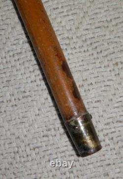 Antique Walking Stick Cane Hand Carved Parrot Head Top Glass Eyes Silver Collar