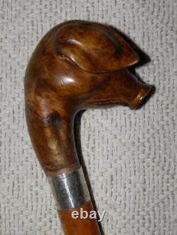 Antique Walking Stick / Cane Hand-Carved Pig Head Glass Eyes Silver Collar