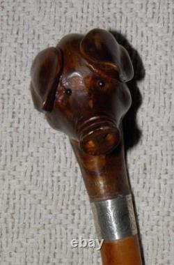 Antique Walking Stick / Cane Hand-Carved Pig Head Glass Eyes Silver Collar