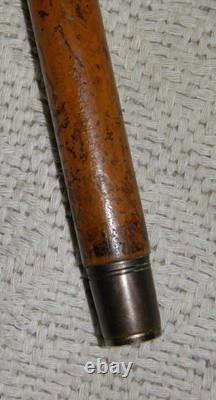 Antique Walking Stick / Cane Hand-Carved Pig Head Glass Eyes Silver Collar