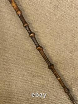 Antique Walking Stick Cane Intricate Hand Carved St Bernard Dog Handle