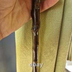 Antique Walking Stick Cane Irish blackthorn wooden horn handled carved swagger