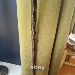 Antique Walking Stick Cane Irish blackthorn wooden horn handled carved swagger
