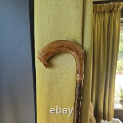 Antique Walking Stick Cane Irish blackthorn wooden horn handled carved swagger