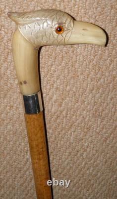 Antique Walking Stick Cane Silver Collar Bovine Horn Hand Carved Bird Glass Eyes
