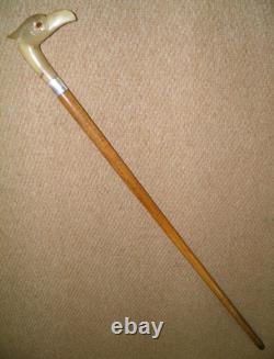 Antique Walking Stick Cane Silver Collar Bovine Horn Hand Carved Bird Glass Eyes