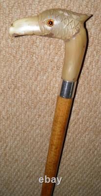 Antique Walking Stick Cane Silver Collar Bovine Horn Hand Carved Bird Glass Eyes