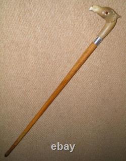 Antique Walking Stick Cane Silver Collar Bovine Horn Hand Carved Bird Glass Eyes