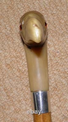 Antique Walking Stick Cane Silver Collar Bovine Horn Hand Carved Bird Glass Eyes