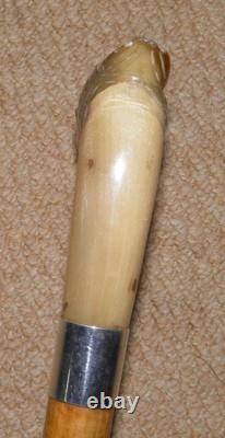 Antique Walking Stick Cane Silver Collar Bovine Horn Hand Carved Bird Glass Eyes