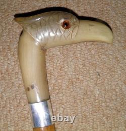 Antique Walking Stick Cane Silver Collar Bovine Horn Hand Carved Bird Glass Eyes