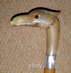 Antique Walking Stick Cane Silver Collar Bovine Horn Hand Carved Bird Glass Eyes