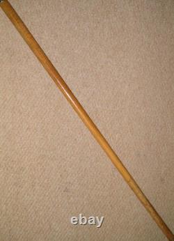 Antique Walking Stick Cane Silver Collar Bovine Horn Hand Carved Bird Glass Eyes
