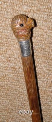 Antique Walking Stick Cane Silver Collar Hand Carved Bird Parakeet Glass Eyes