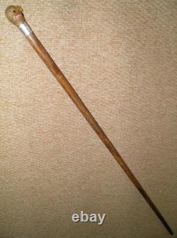 Antique Walking Stick Cane Silver Collar Hand Carved Bird Parakeet Glass Eyes