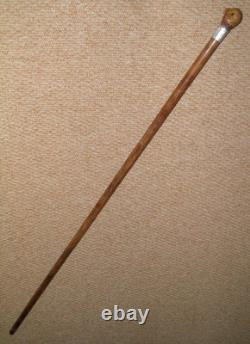 Antique Walking Stick Cane Silver Collar Hand Carved Bird Parakeet Glass Eyes