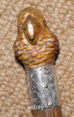 Antique Walking Stick Cane Silver Collar Hand Carved Bird Parakeet Glass Eyes