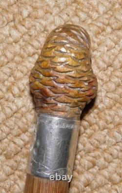 Antique Walking Stick Cane Silver Collar Hand Carved Bird Parakeet Glass Eyes