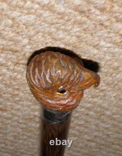 Antique Walking Stick Cane Silver Collar Hand Carved Bird Parakeet Glass Eyes