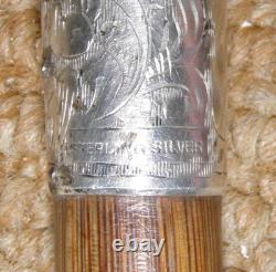 Antique Walking Stick Cane Silver Collar Hand Carved Bird Parakeet Glass Eyes