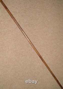 Antique Walking Stick Cane Silver Collar Hand Carved Bird Parakeet Glass Eyes