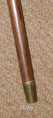 Antique Walking Stick Cane Silver Collar Hand Carved Bird Parakeet Glass Eyes