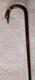 Antique Walking Stick Cane Tested 12 ct Gold Collar Carved Bovine Horn Duck Head