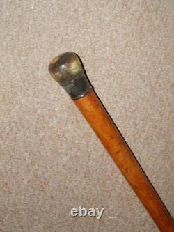 Antique Walking Stick/Cane With Hand-Carved Bovine Horn Pommel Top 90.5cm