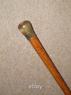 Antique Walking Stick/Cane With Hand-Carved Bovine Horn Pommel Top 90.5cm