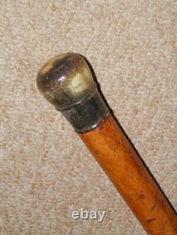 Antique Walking Stick/Cane With Hand-Carved Bovine Horn Pommel Top 90.5cm