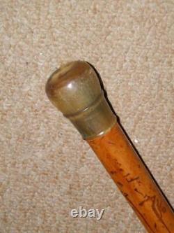 Antique Walking Stick/Cane With Hand-Carved Bovine Horn Pommel Top 90.5cm