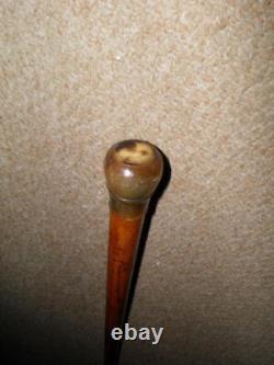 Antique Walking Stick/Cane With Hand-Carved Bovine Horn Pommel Top 90.5cm