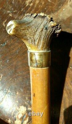 Antique Walking Stick Cane with Carved Horn Figural Smiling Woman Hat & Glasses