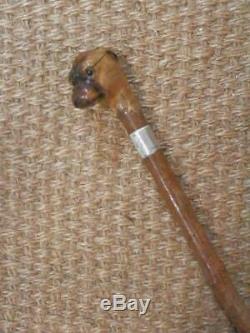 Antique Walking Stick Carved Boxer Dog Head Top And H/m Silver Collar B'ham 1902