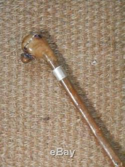Antique Walking Stick Carved Boxer Dog Head Top And H/m Silver Collar B'ham 1902